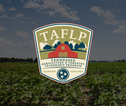 Tennessee Agriculture and Forestry Leadership Program logo